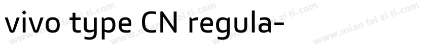 vivo type CN regula字体转换